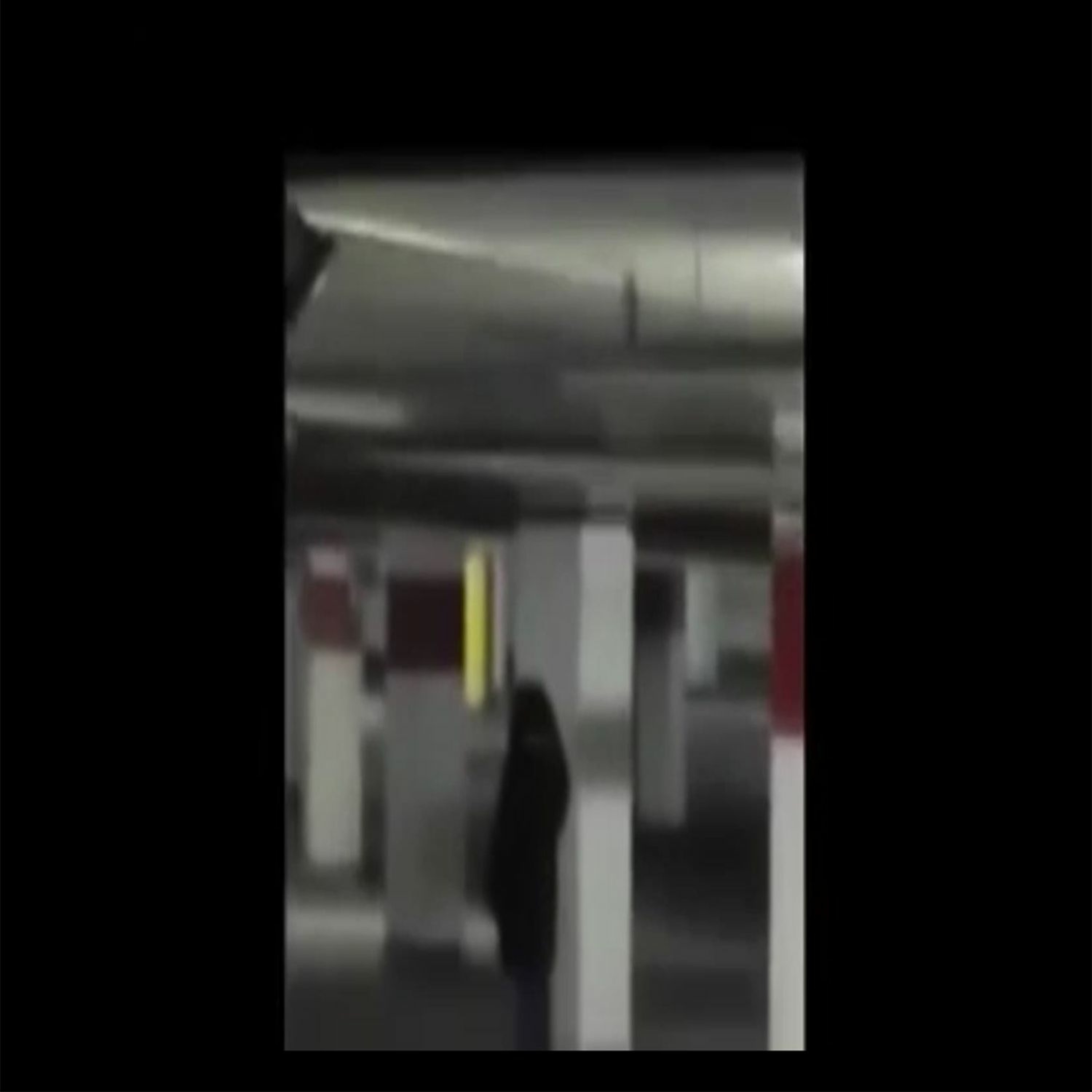 Feds