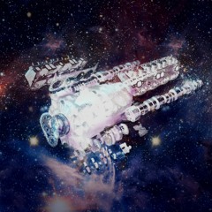 We found it adrift, barely in orbit, and assumed it derelict