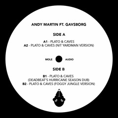 Andy Martin Ft. Gavsborg -Platos & Caves