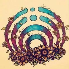 Bassnectar Mix - Chicago Mixtape