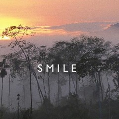 Jesse Vrielink - Smile