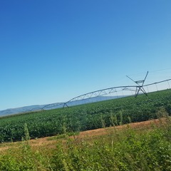 JumBo - Sodwana is die plek