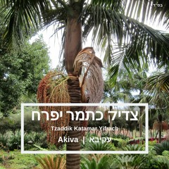 Tzaddik Katamar Yifrach | צדיק כתמר יפרח