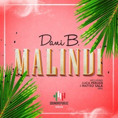 Dani B. / Malindi • Original Mix
