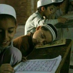 مُفضلة ~