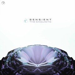 Sensient - Emotive Motive (Ambler/Lumen & Vis Vires Remix)