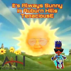 Its Always Sunny In Auburn Hills 😎