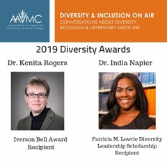 48: 2019 Diversity Awards