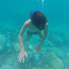 Ani Met ft. Brother Mati - Demo