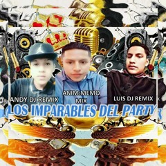 LOS IMPARABLES DEL PARTY - ANDY DJ REMIX FT. LUIS DJ REMIX ((CUMBIAS POWER))