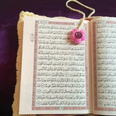 أَلَا إِنَّ وَعْدَ اللَّهِ حَقٌّ وَلَٰكِنَّ أَكْثَرَهُمْ لَا يَعْلَمُونَ | سورة يونس 📿 محمد شبيب