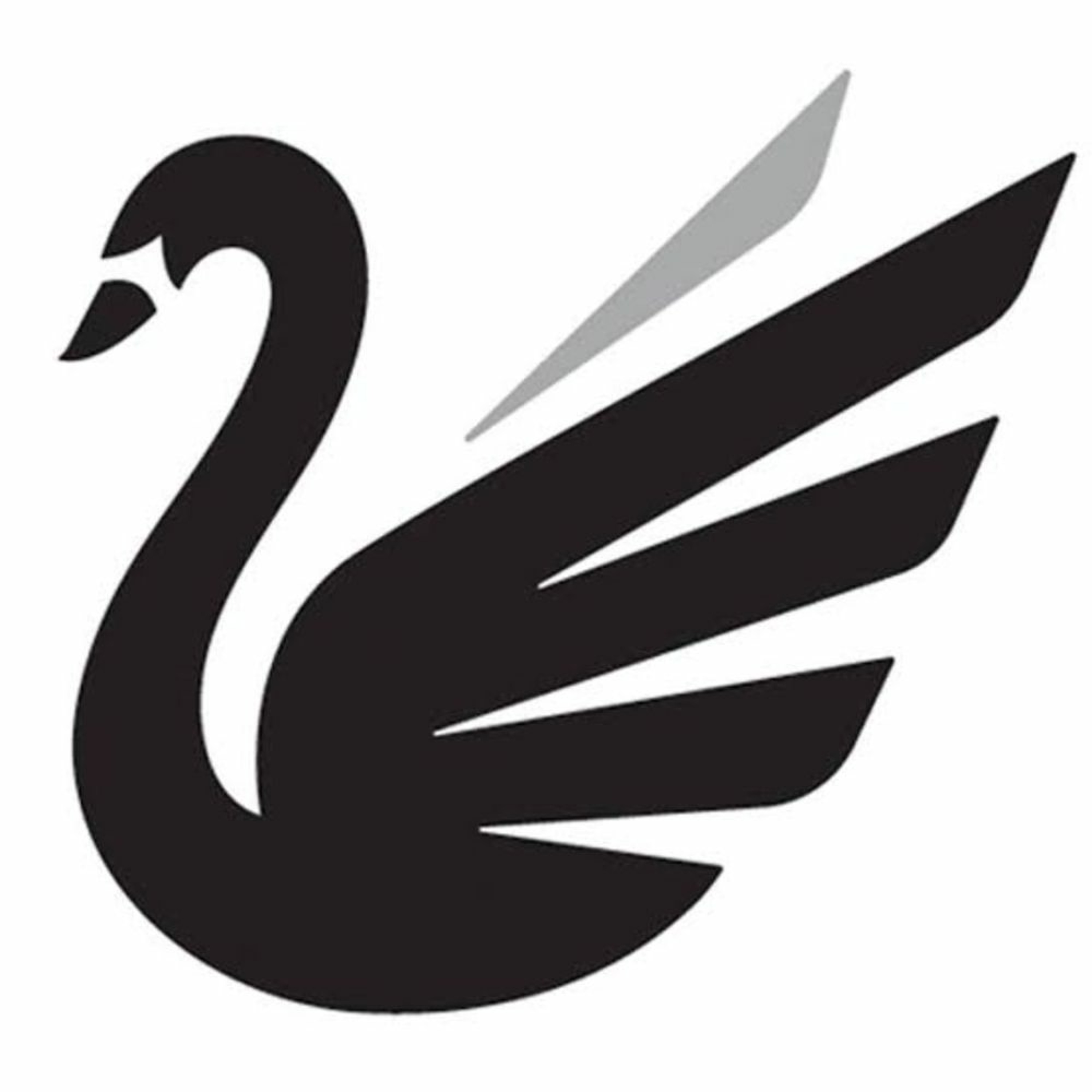 Doğan Aytekin - Swan episode artwork