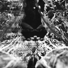 vianawanda - live in kapadokya