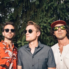 In the Summertime (Mungo Jerry Cover)