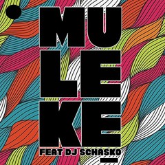 Leave Your Dress On - Muleke & Dj Schasko _ Free Download