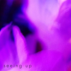 Seeing Up (honeyspun version)