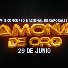 SPOT GAMONAL DE ORO 2019