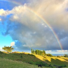 blue skies - willie nelson cover - sherindream/stevedans