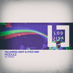Following Light & Steve Hike - Module (Spanless Remix)