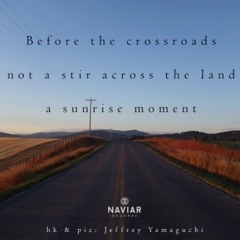 halF crossroadS [naviarhaiku269]