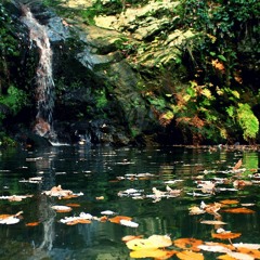 Alf Thneya we Thneya Ep41: Aïn Draham : La richesse d’une destination de plus en plus prisée