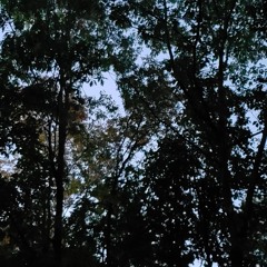 Gardenxo- Cyber World (ft indigoendo)