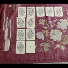 Acacia by Sheylla B.