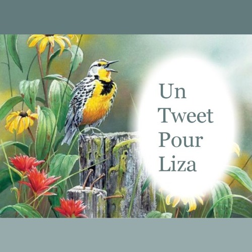 A Tweet To Liza