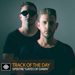Track of the Day: Spektre “Gates of Dawn”