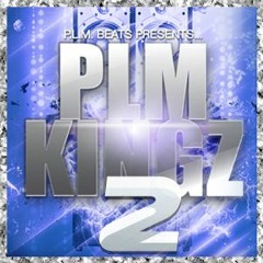 PLM Kingz V2 Synth1 PresetBank