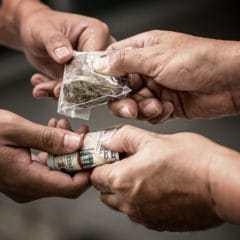 "Freeindi" ft. Indi, Jugg & LilFourFive (Prod. Yung Pear)