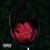 Artwork for Oleander