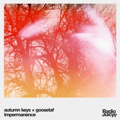 autumn keys x goosetaf - Impermanence