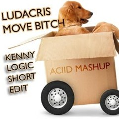 Ludacris - Move Bitch Aciiid Mashup (Kenny Logic Short Edit)
