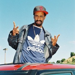 February Samples 2k19