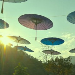 gravitation sensation
