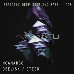 nCamargo - Steer
