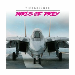 Stream Top Gun - Anthem( Instrumental Remake) by Tiergrinder