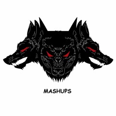 MASHUPS