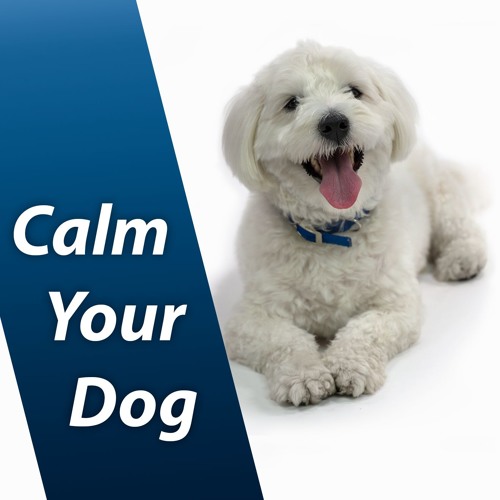 Sounds to calm down deals dogs