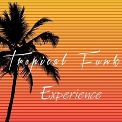Tropical Funk Experience - Mixtape #10 (Tropical Funk, Brazilian Disco, African Disco)
