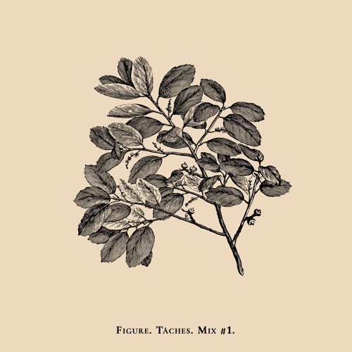 TÂCHES - #1 FEBRUARY MIX