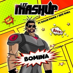Lee Mashup - Bomina (Kaizer Panda Remix)