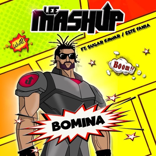 Lee Mashup - Bomina (Kaizer Panda Remix)