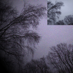 shizophrenia (feat. takizava)