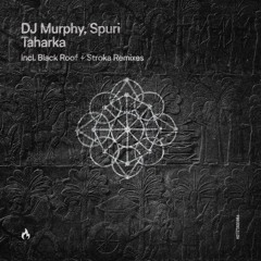 DJ Murphy & Spuri - Taharka (Original Mix)