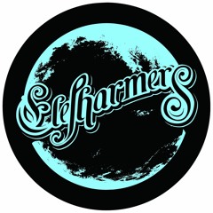 Ancient Astronauts (desert radio edit)