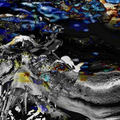 drpng. ft nonku phiri & christopher marianetti