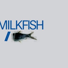 Milkfish / Blan(q)
