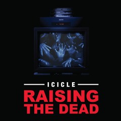 Icicle - Noughties Riddim [duploc.com premiere]